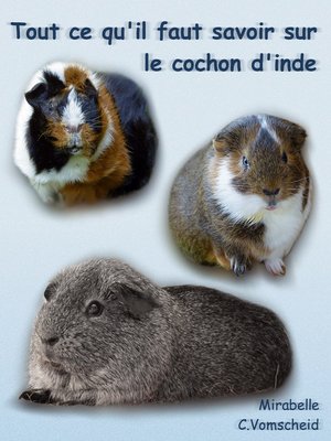 cover image of Tout ce qu'il faut savoir sur le cochon d'inde (nouvelle édition)